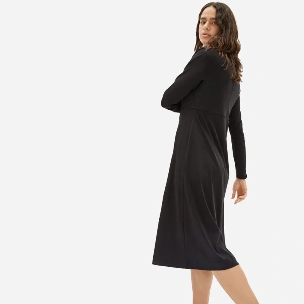 Everlane The Luxe Cotton Button Front Collared Long Sleeve Casual Shirtdress